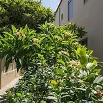 Casa In Giardino